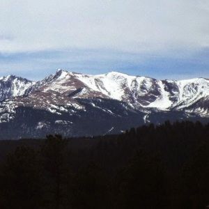 Meet your Posher, Taryn